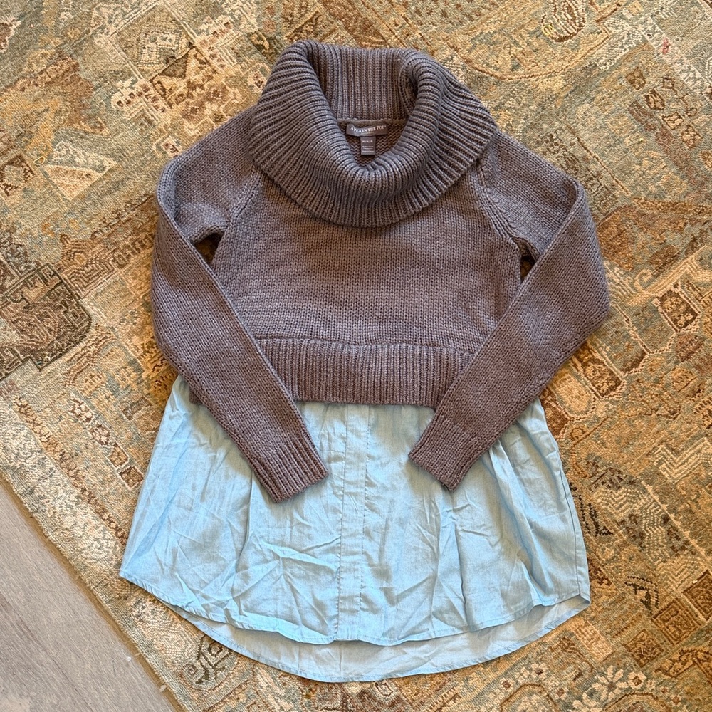 Pea and the Pod maternity sweater and attached shirt.